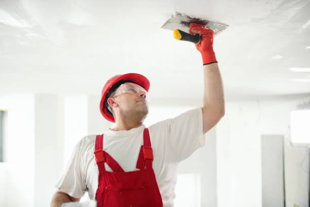 Professional Drywall & Painting Services in Duncannon, PA